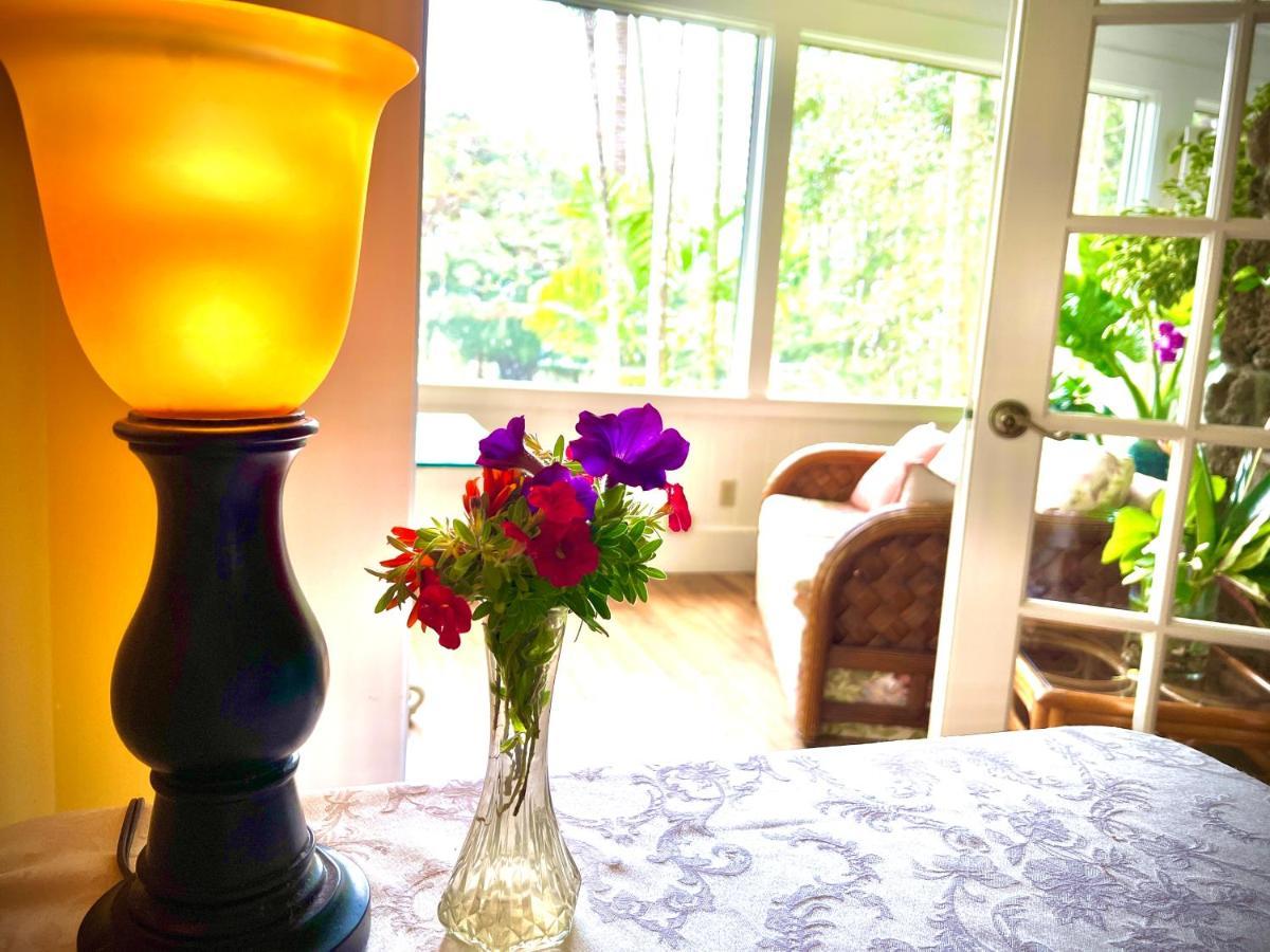 Hawi Guest House Εξωτερικό φωτογραφία