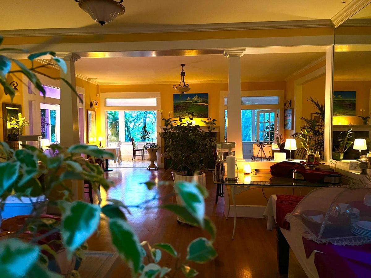 Hawi Guest House Εξωτερικό φωτογραφία