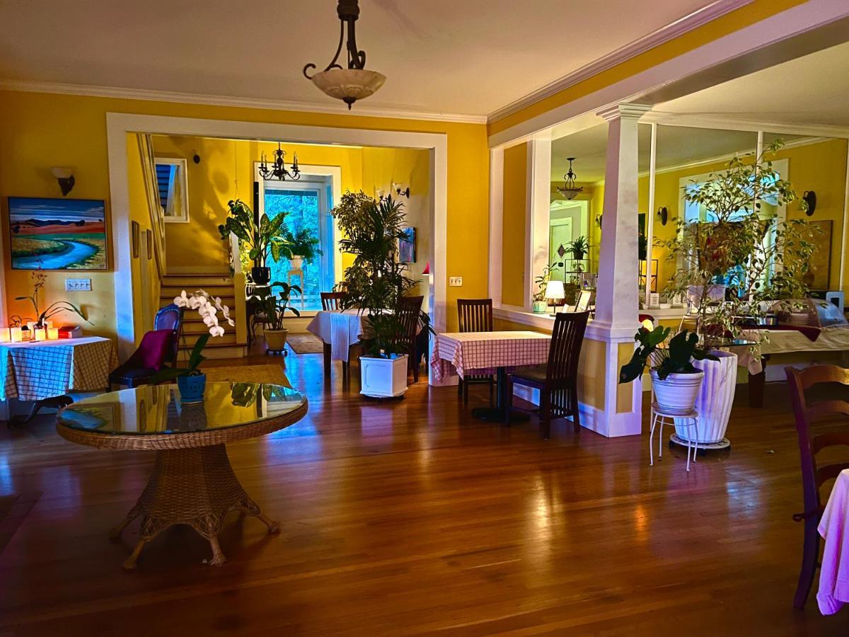 Hawi Guest House Εξωτερικό φωτογραφία