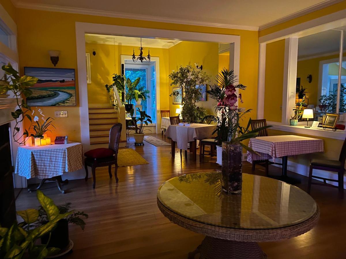 Hawi Guest House Εξωτερικό φωτογραφία
